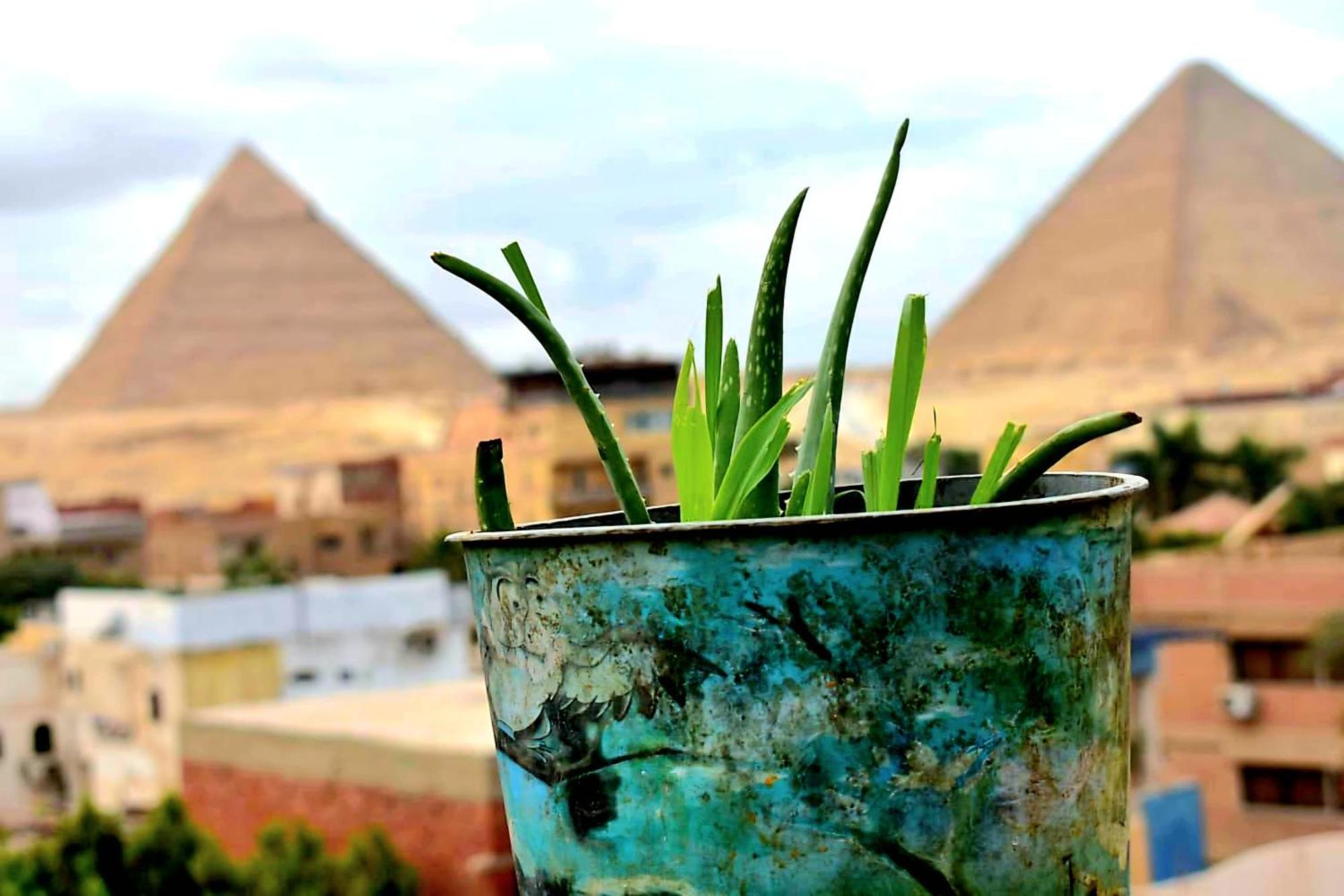 Ammar Pyramids View Privatunterkunft *